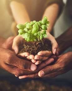 Beihai HKC Photoelectric Display Co., Ltd. 2022 social responsibility report